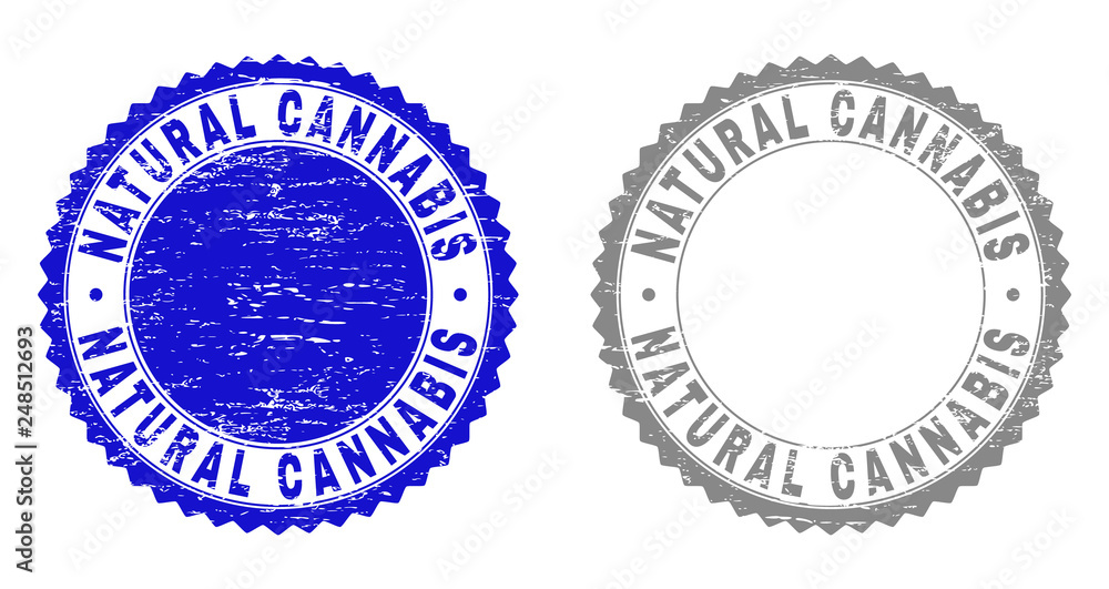 Grunge NATURAL CANNABIS stamp seals isolated on a white background. Rosette seals with grunge texture in blue and grey colors. Vector rubber watermark of NATURAL CANNABIS caption inside round rosette. Grunge NATURAL CANNABIS stamp seals isolated on a white background. Rosette seals with grunge texture in blue and grey colors. Vector rubber watermark of NATURAL CANNABIS caption inside round rosette.