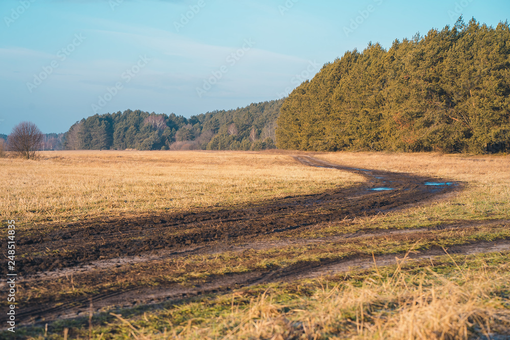 The field at the edge of the forest The field at the edge of the forest