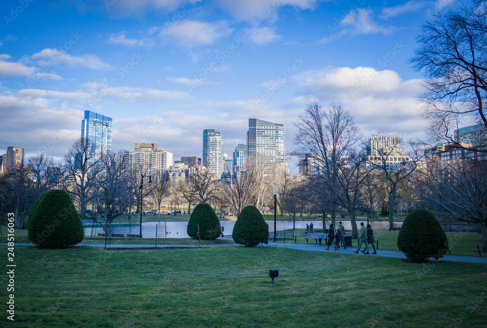 Fototapeta premium Boston Skyline