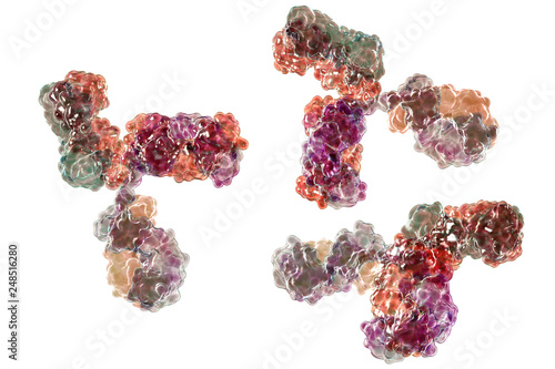 Molecular model of antibody taking part in immune defense. Molecule of immunoglobulin, 3D illustration photo