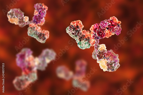 Molecular model of antibody taking part in immune defense. Molecule of immunoglobulin, 3D illustration photo