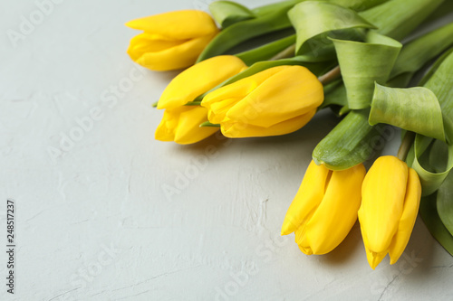 Beautiful fresh yellow tulips on gray background. Space for text