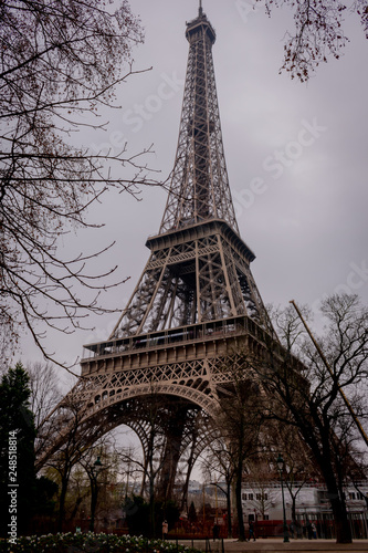 Fototapeta Naklejka Na Ścianę i Meble -  eiffel tower in paris