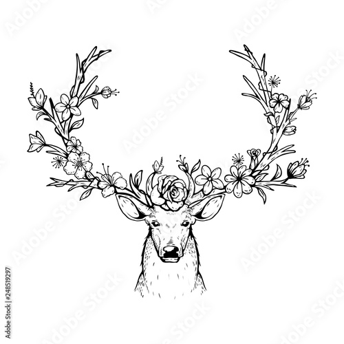 illustration of a deer with forest  background