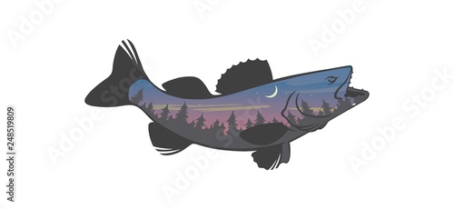 zander fishing