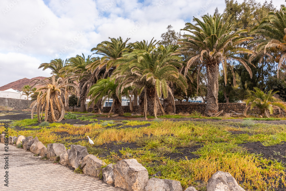 Playa Blanca Promenade Playa Blanca Promenade
