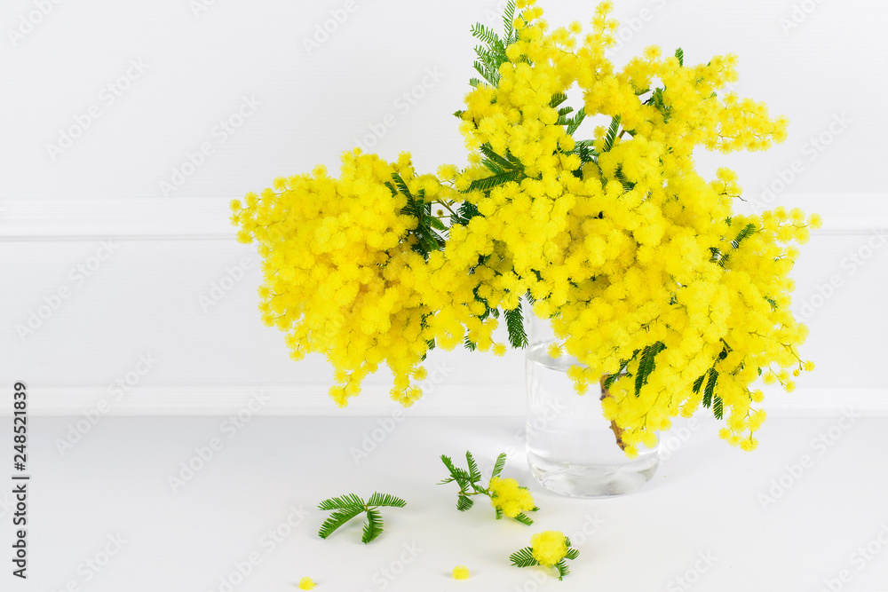 Obraz premium bouquet of yellow flowers mimosa on white background