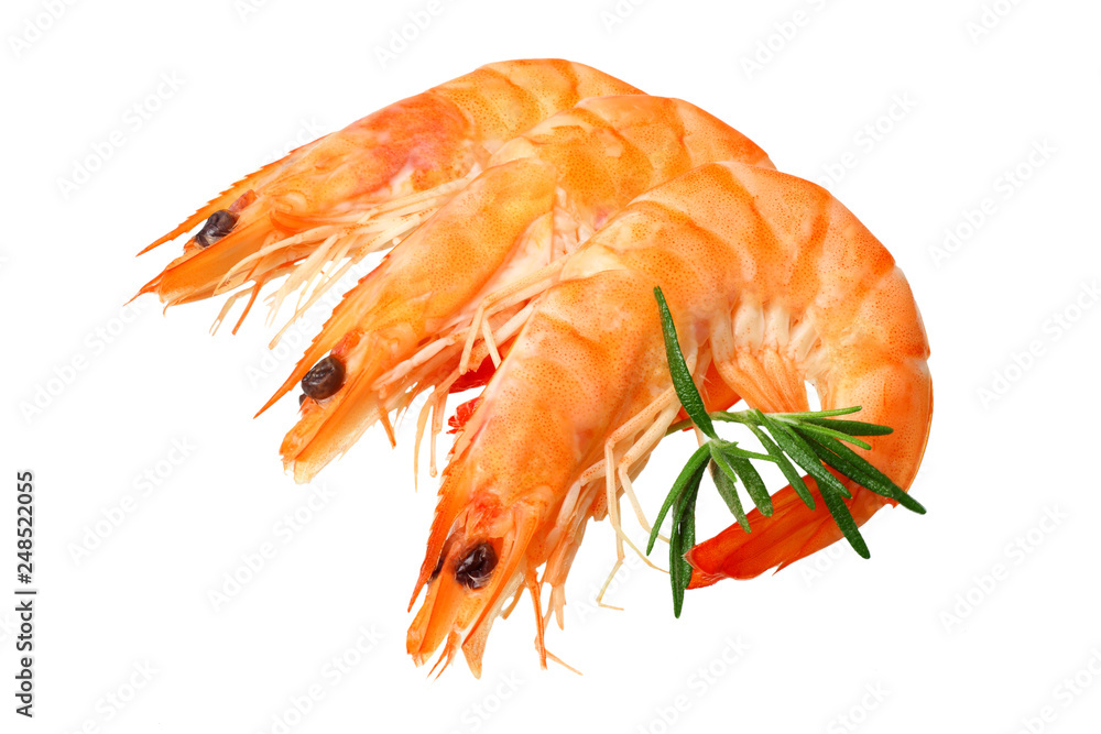shrimps isolated on a white background. top view shrimps isolated on a white background. top view