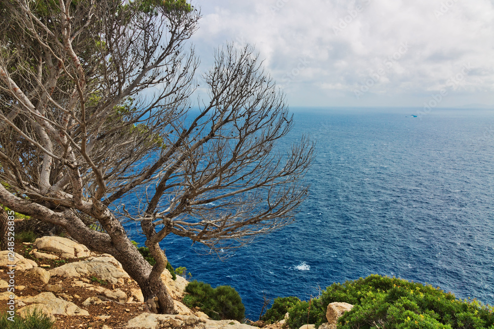 Landscape of rocky coast before a storm under gloomy dramatic sky Landscape of rocky coast before a storm under gloomy dramatic sky