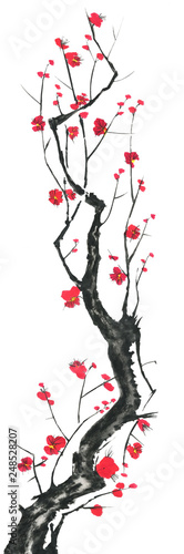 A branch of a blossoming sakura. Pink and red stylized flowers of plum mei and wild cherry . Watercolor and ink illustration of tree in style sumi-e, go-hua, u-sin. Oriental traditional painting. .