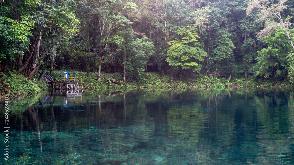 beautiful view of crystal clear water surrounded with dense green forest in Telaga Biru, Berau, Indonesia