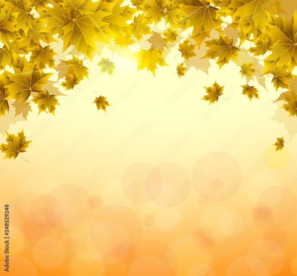 Frame of yellow and orange leaves of maple. Sunny autumn or summer day. Awakening of nature. Cover or background for an article.