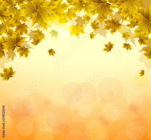 Frame of yellow and orange leaves of maple. Sunny autumn or summer day. Awakening of nature. Cover or background for an article.