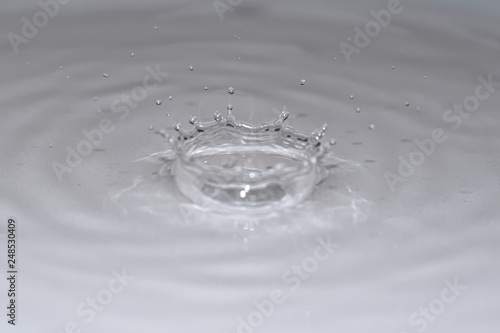 Water droplet creating splash and ripple. © Adrian