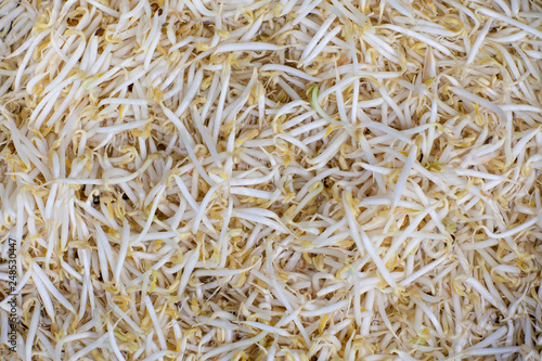 Pile of bean sprouts . soybean sprouts on white background. 