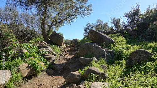 Hiking trail at Lake Hodges, in San Diego County photo
