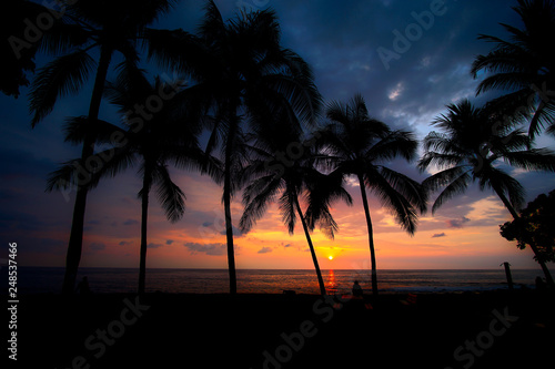 Sonnenuntergang mit Palmen  Hawaii