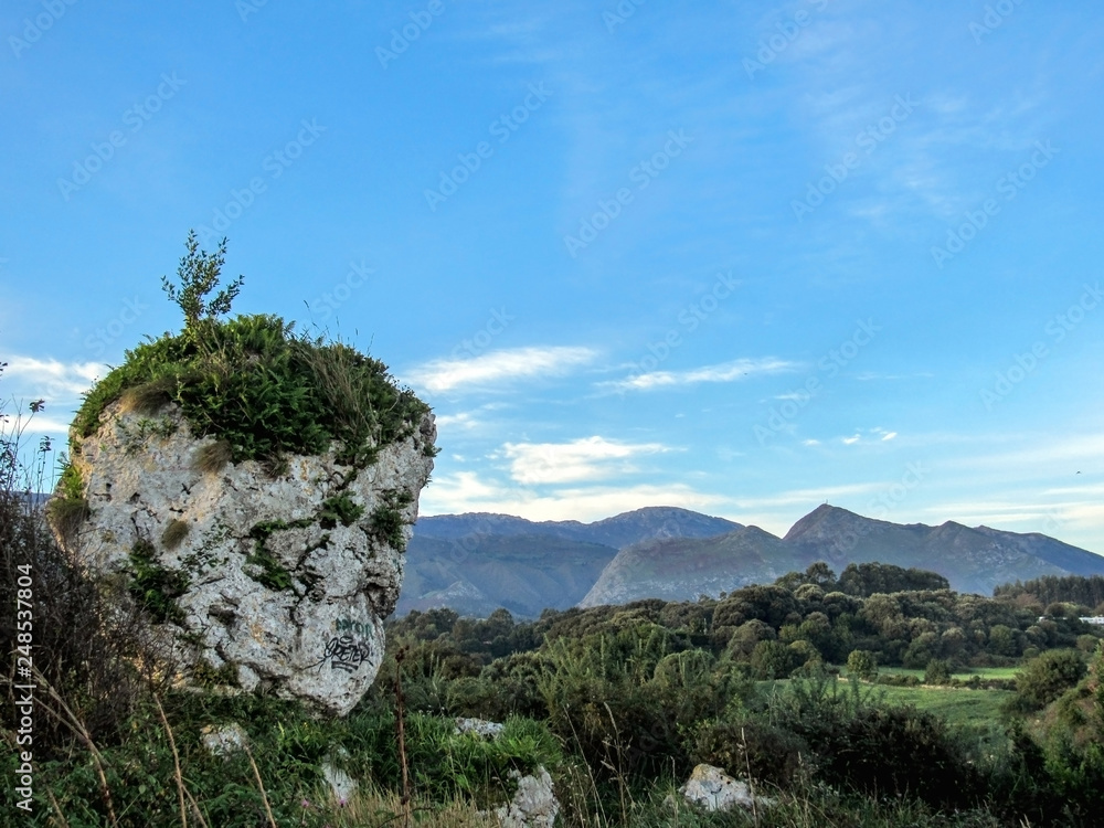 Stone covered under green vegetation in Asturias, Camino de Santiago route along the Northern coast of Spain