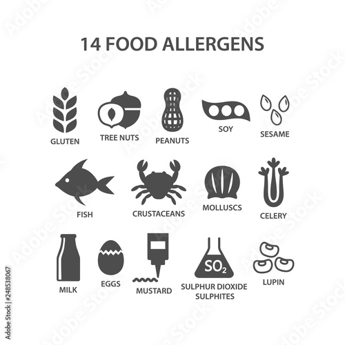 Food allergens icon set. Black isolated 14 food allergens with text names vector set. Gluten, peanuts, tree nuts, soy allergy silhouette icons.