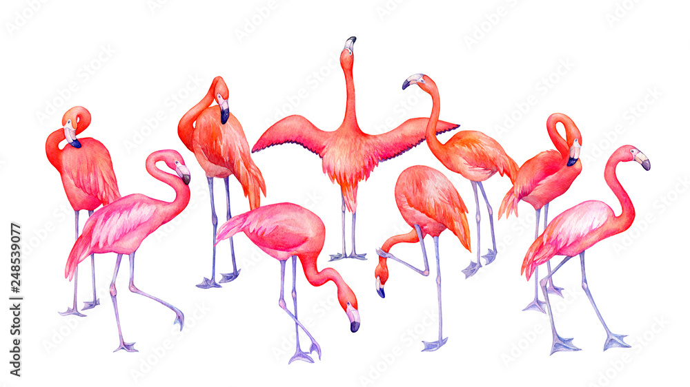 Single yellow drinking cocktail straw decorated with pink flamingo isolated  on white background. File contains clipping path Stock Photo - Alamy