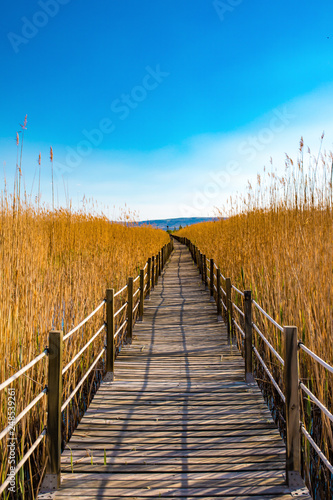 Fototapeta Naklejka Na Ścianę i Meble -  Wooden bridge walkway path on marshes and reeds in front of mountain. This is from Sultan Sazligi and Erciyes Mountain in Kayseri Turkey. Pastoral beautiful landscape background. 