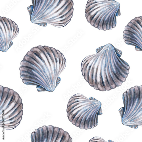 Seamless wallpaper of sea shell on white background. Watercolor - Illustration