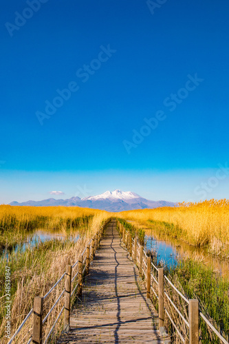 Wooden bridge walkway path on marshes and reeds in front of mountain. This is from Sultan Sazligi and Erciyes Mountain in Kayseri Turkey. Pastoral beautiful landscape background. © Hakan Tanak