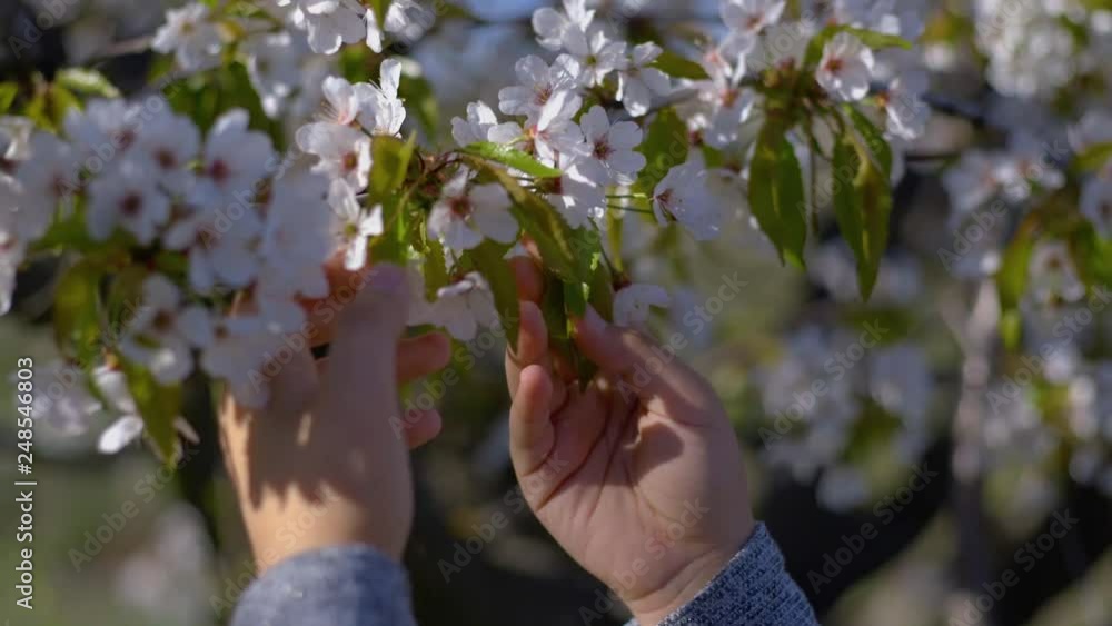 Walk in the spring garden of two sisters