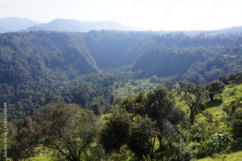 Fototapeta premium Krajobraz