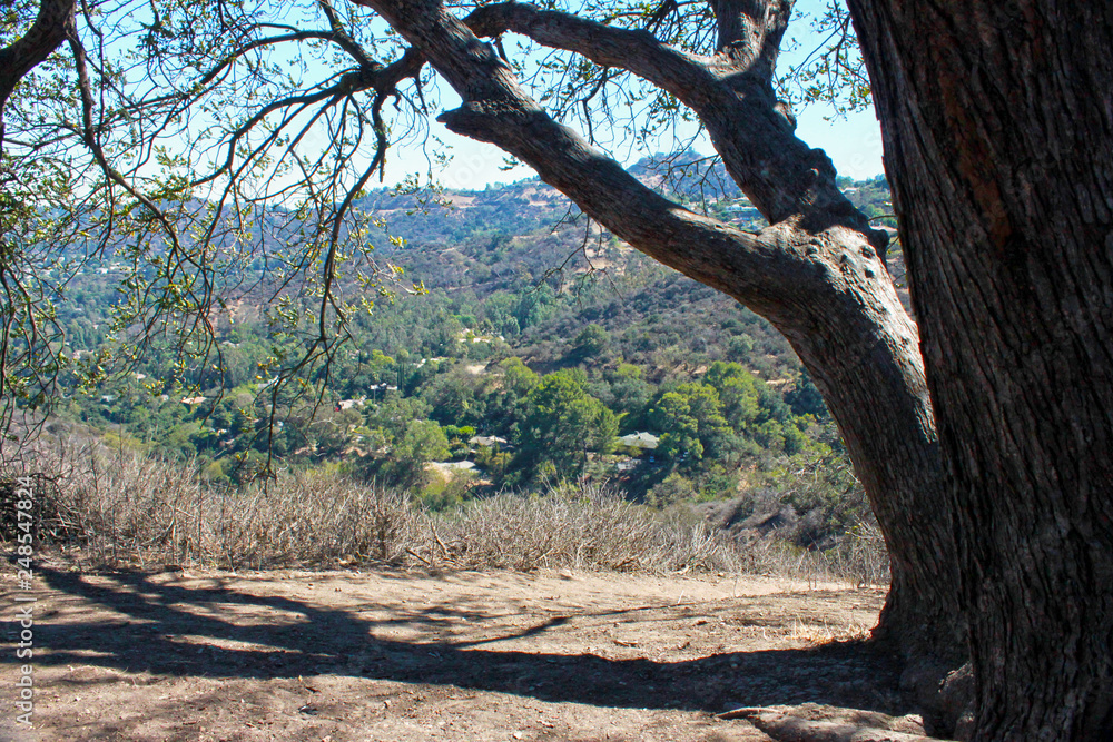 Hiking View from shade under trees Hiking View from shade under trees