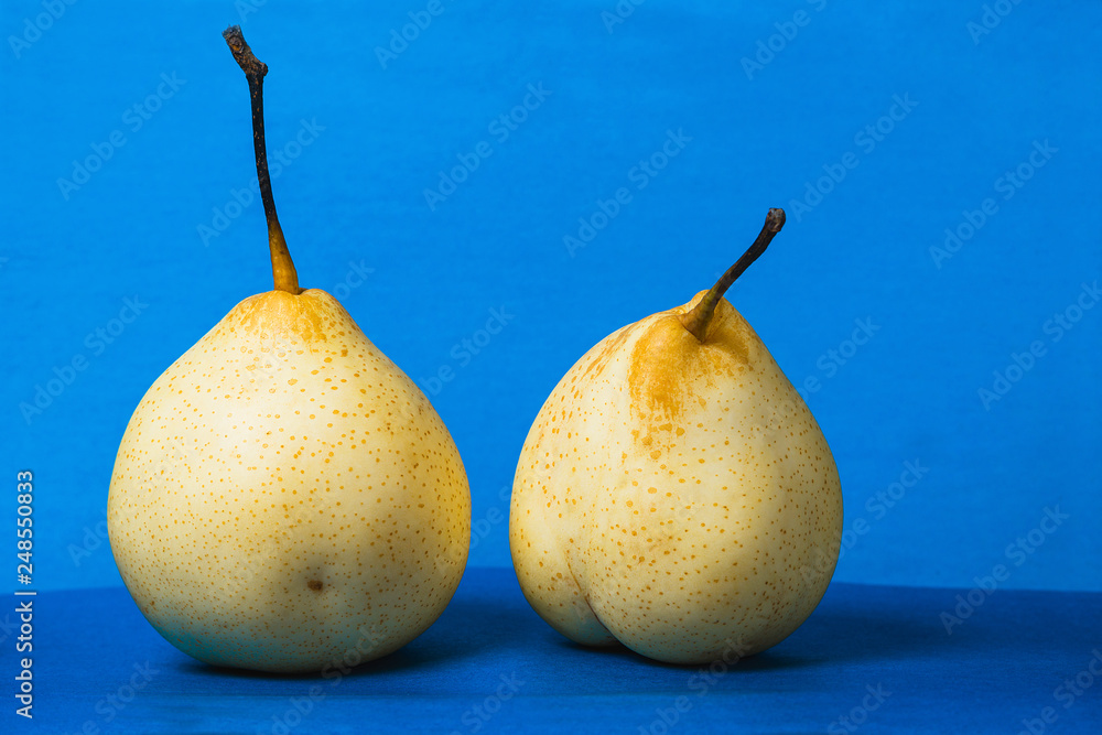 A pair of ripe pears close up on a blue background. A pair of ripe pears close up on a blue background.