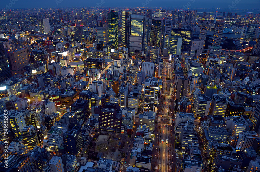 Obraz premium Tokyo city at night, Tokyo Japan