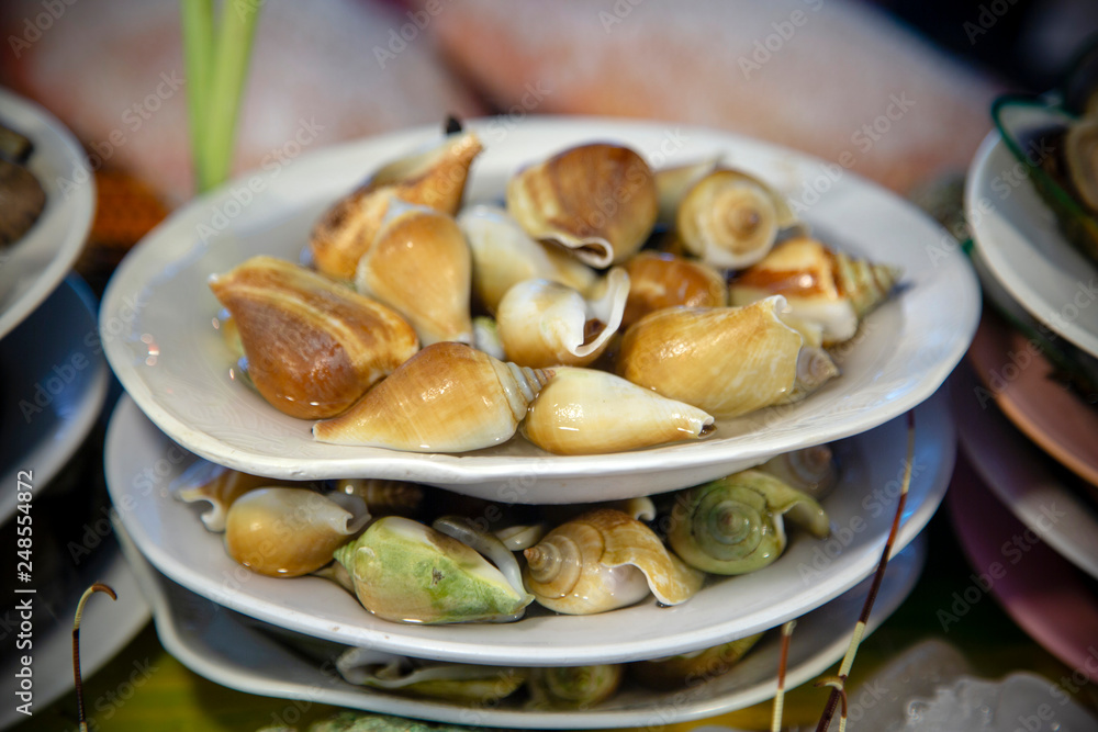 Dog Conch Sea Snail Street Food