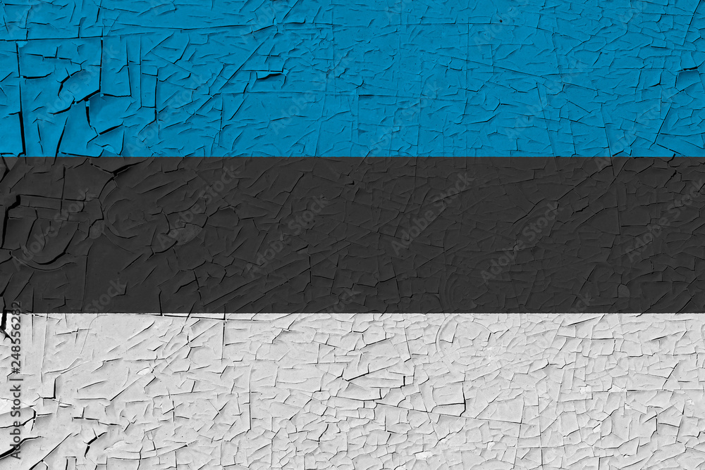 estonia painted flag