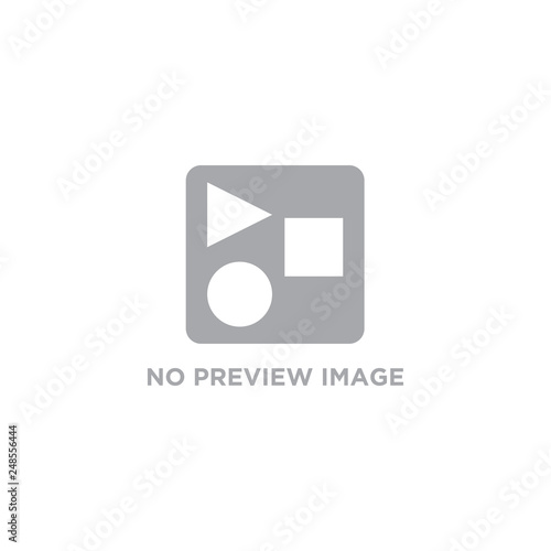 No Preview Image Icon