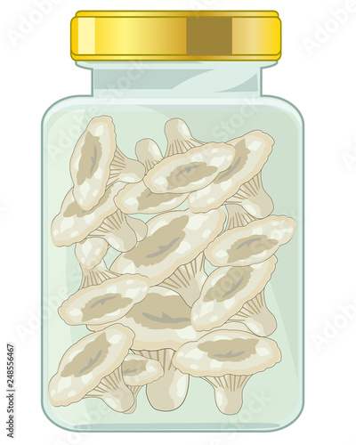 Salty mushrooms in glass bank with lid