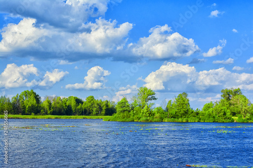 Beautiful summer landscape. Blue sky and Large clouds above tributary of the Dnieper River . Fabulous view of the coastline with green reeds and forest.