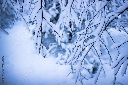 Fototapeta Naklejka Na Ścianę i Meble -  Najpiękniejsze miejsca w Polsce