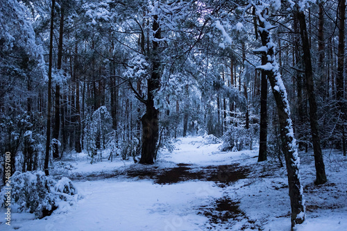Fototapeta Naklejka Na Ścianę i Meble -  Najpiękniejsze miejsca w Polsce