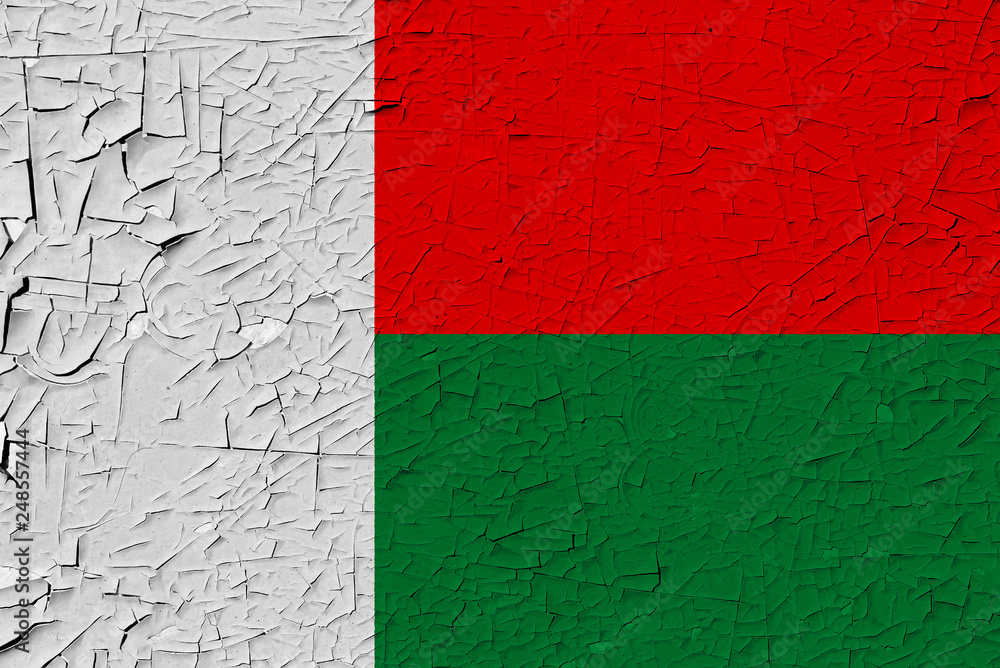 Madagascar painted flag