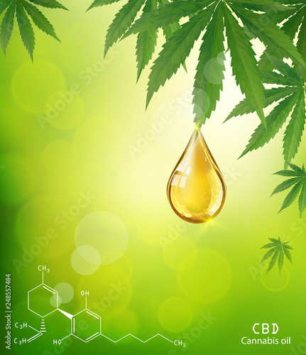 Marijuana plant and cannabis oil drop vector.