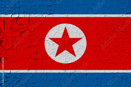 North Korea painted flag