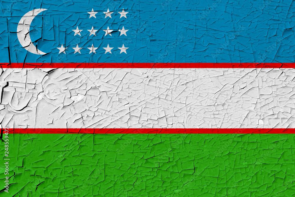 Uzbekistan painted flag
