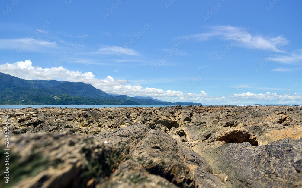 Fototapeta premium Beach time