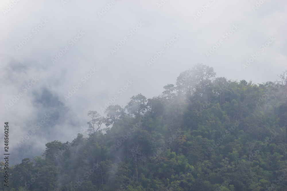 The fog moves along the mountains in the morning winter season.