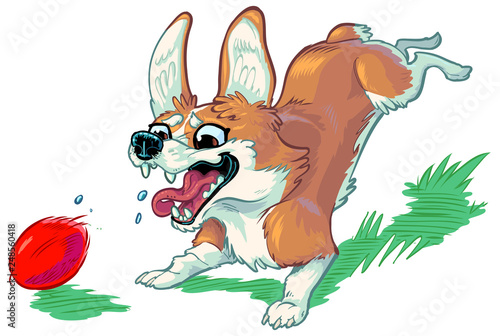 Happy Corgi Dog Chasing Red Ball Vector Cartoon