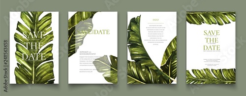 Banana leaves watercolor painting cards.
