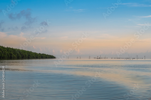 Forest  wetlands  mountains  sky and sea in nature