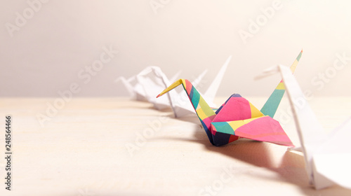 Foto Origami cranes in a row , one colorful standing out, think different