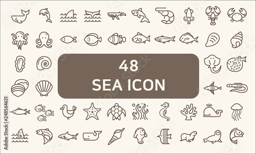 Set of 48 sea life and ocean Vector Icons. Contains such Icons as Nautical Creatures , sea food, sea, ocean, fish, coral, sea horse, seaweed, turtle And Other Elements.